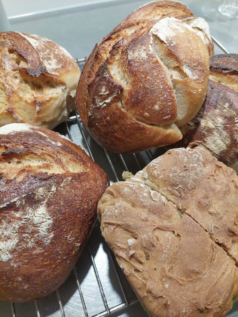 image from Vente à la ferme à Bremblens